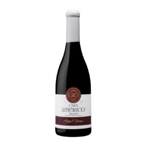 Casa Américo 17 Tinto 2018 Alfrocheiro 750 ml