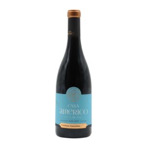 Casa Américo Tinto 2016 Touriga Nacional 750 ml